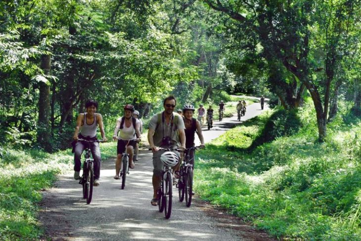 Best Cycling Tour Routes In Vietnam – One-of-a-kind Travel Experience 