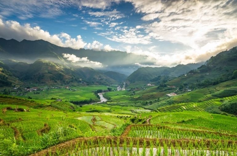 Vietnam-Sapa-Nature-Rice-Field600-crop