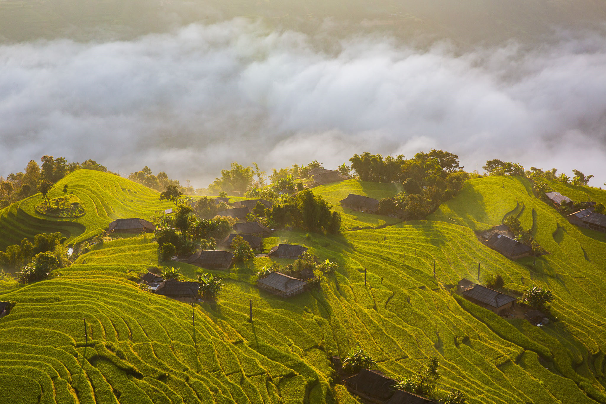 Hoang Su Phi Hagiang Vietnam