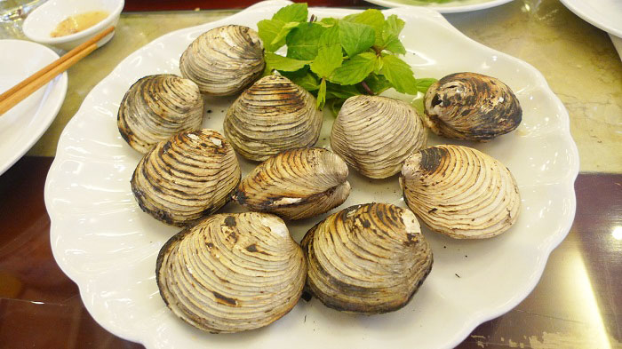 Halong Clams