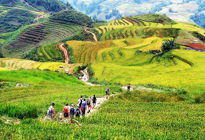 Sapa and Mu Cang Chai private tour