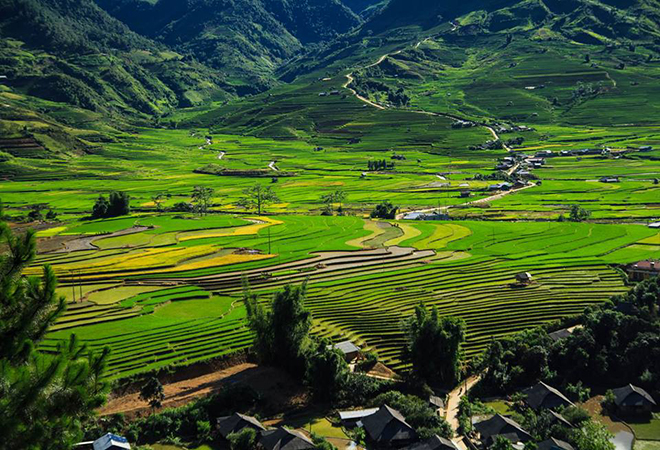 Sapa and Mu Cang Chai private tour