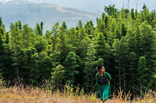 Ha Giang 5 days trekking tour